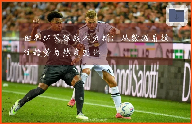 世界杯买球战术分析：从数据看投注趋势与热度变化